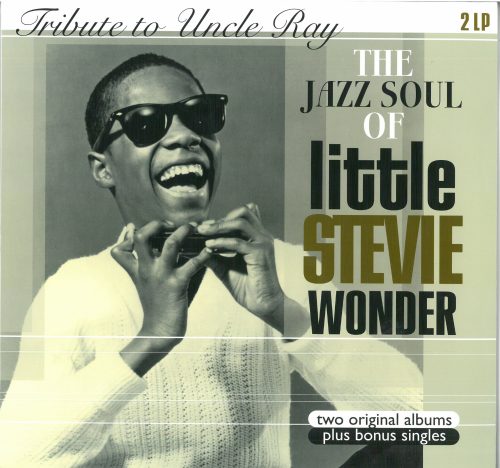 STEVIE WONDER      - TRIBUTE TO UNCLE RAY