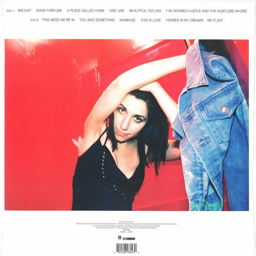 PJ Harvey ‎– Stories From The City, Stories From The Sea - Demos - Image 2