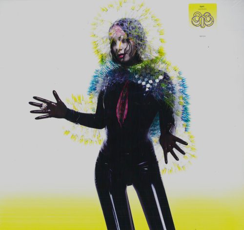 Bjork    -    Vulnicura