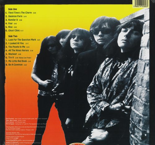 THE FUZZTONES - BRAINDROPS - Image 2